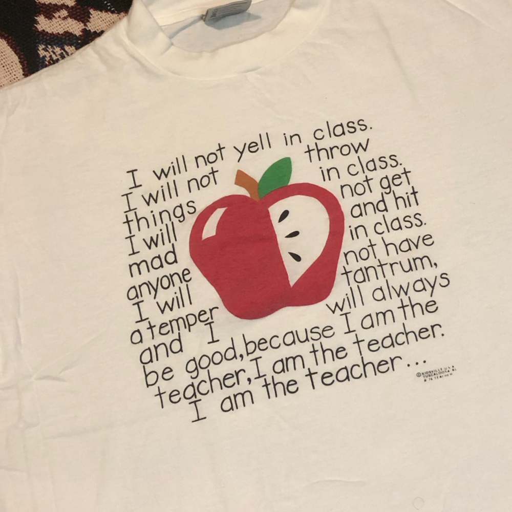 Funny teacher shirt
